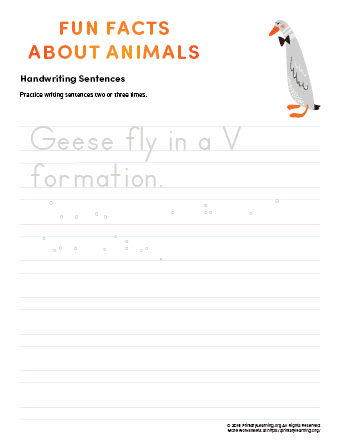 sentence writing goose