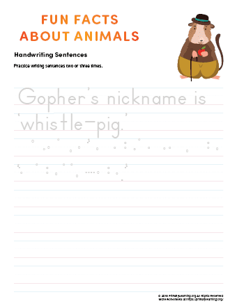 sentence writing gopher