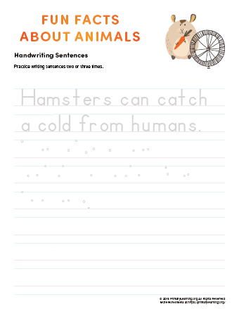 sentence writing hamster