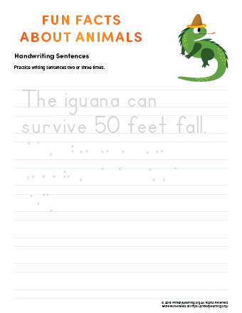 sentence writing iguana