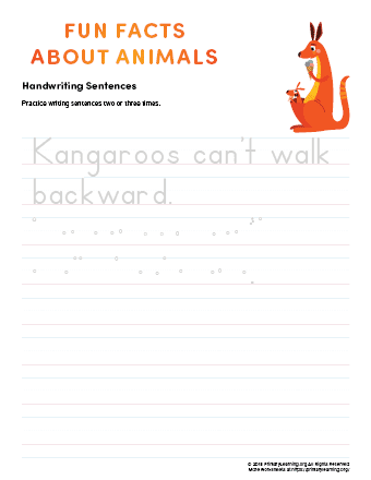 sentence writing kangaroo