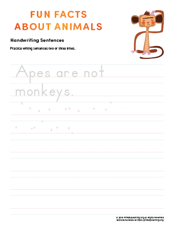 sentence writing monkey