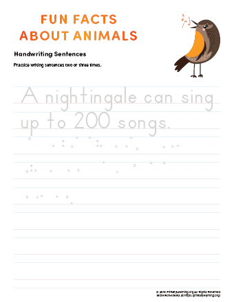 sentence writing nightingale