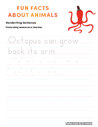 sentence writing octopus