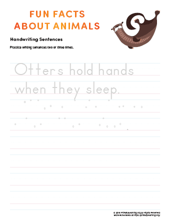 sentence writing otter