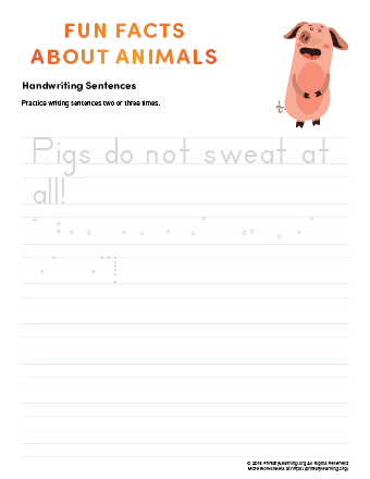 sentence writing pig