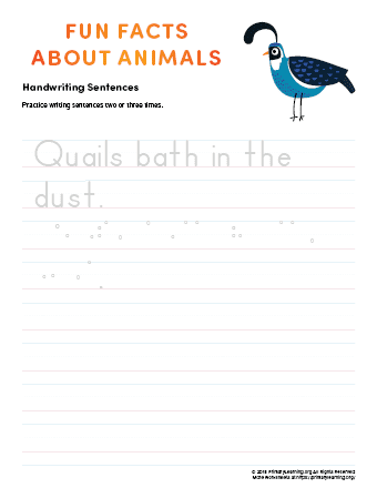 sentence writing quail