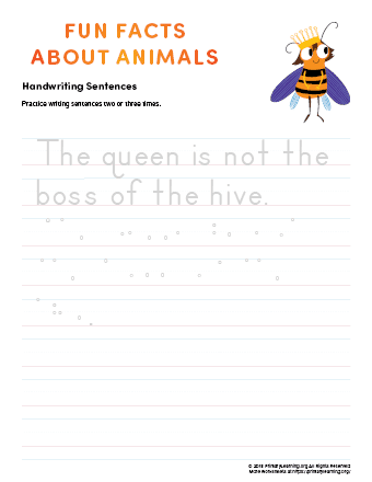 sentence writing queen bee