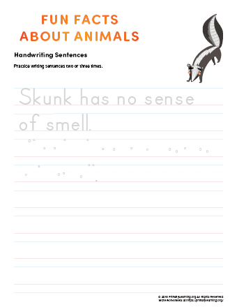 sentence writing skunk