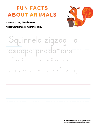 sentence writing squirrel