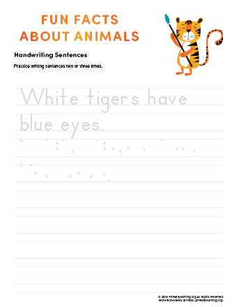 sentence writing tiger