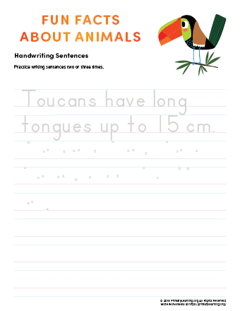 sentence writing toucan
