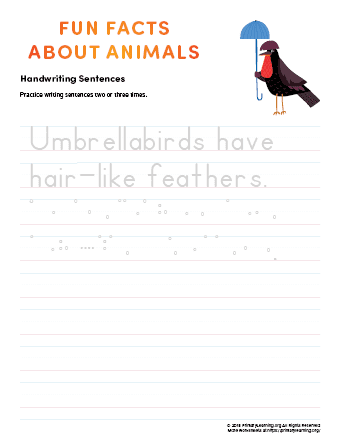 sentence writing umbrellabird
