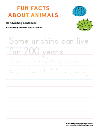 sentence writing urchin