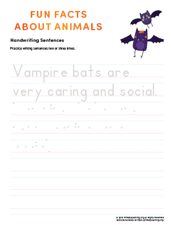 sentence writing vampire bat