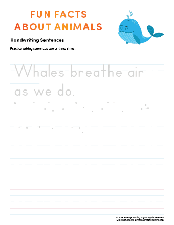 sentence writing whale