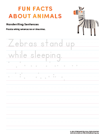 sentence writing zebra