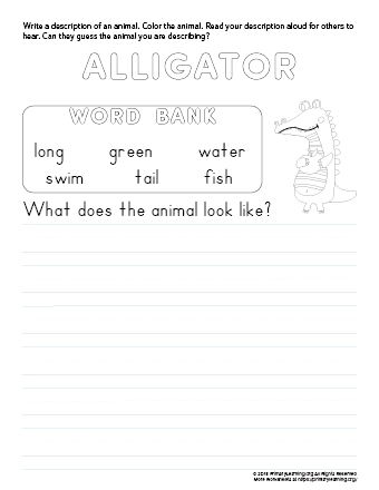 tell about alligator