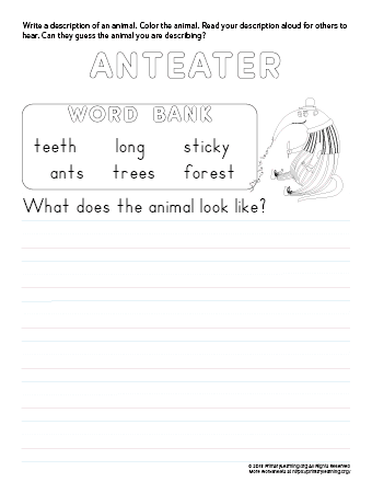 tell about anteater