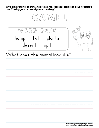 tell about camel