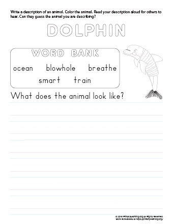 tell about dolphin