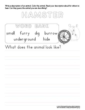 tell about hamster