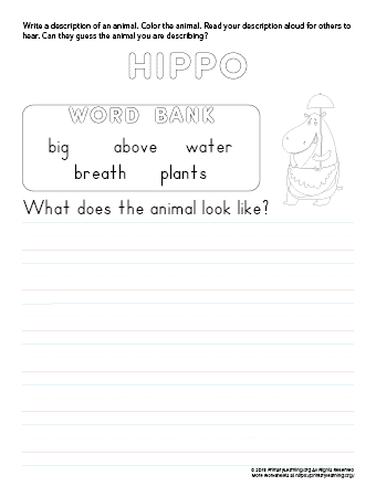 tell about hippo