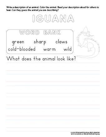 tell about iguana