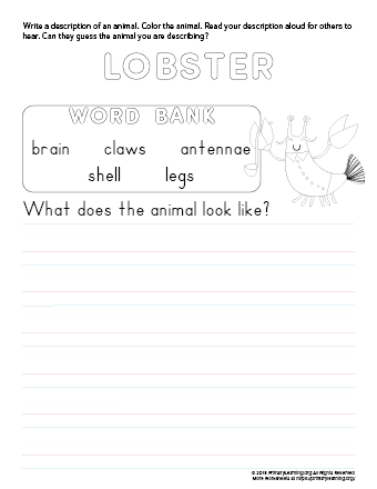 tell about lobster