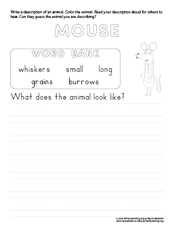 tell about mouse