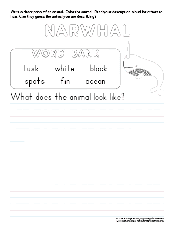 tell about narwhal