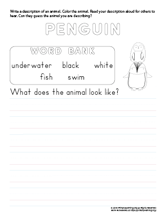 tell about penguin