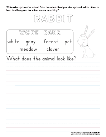 tell about rabbit
