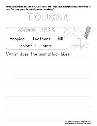 tell about toucan