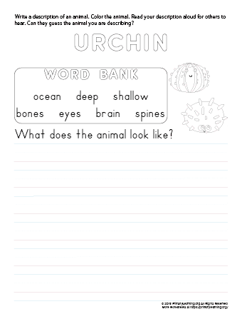 tell about urchin