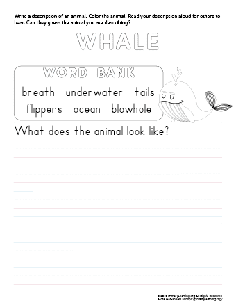 tell about whale
