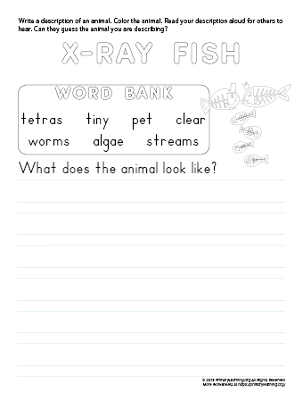 tell about x-ray fish