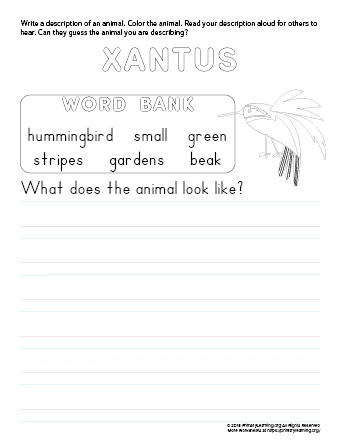 tell about xantus