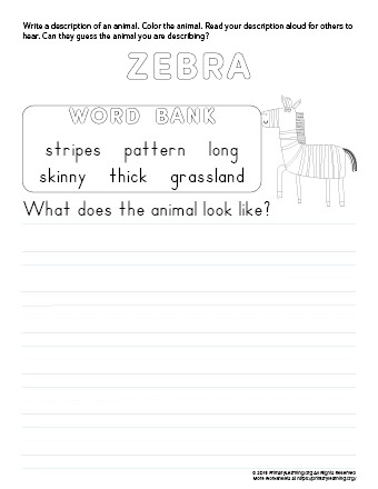 tell about zebra